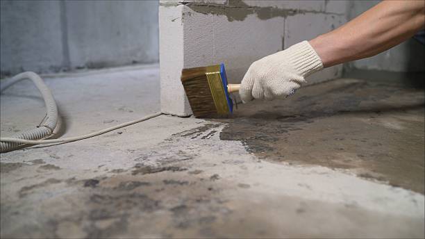Top rated local Waterproofing specialists in Falmouth, VA